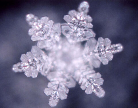 Il tessuto connettivo e le scoperte di Masaru Emoto