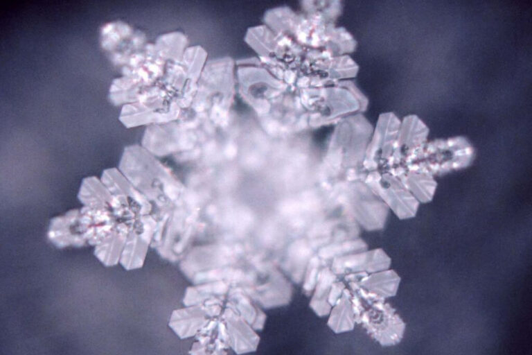 Il tessuto connettivo e le scoperte di Masaru Emoto Il tessuto connettivo e le scoperte di Masaru Emoto