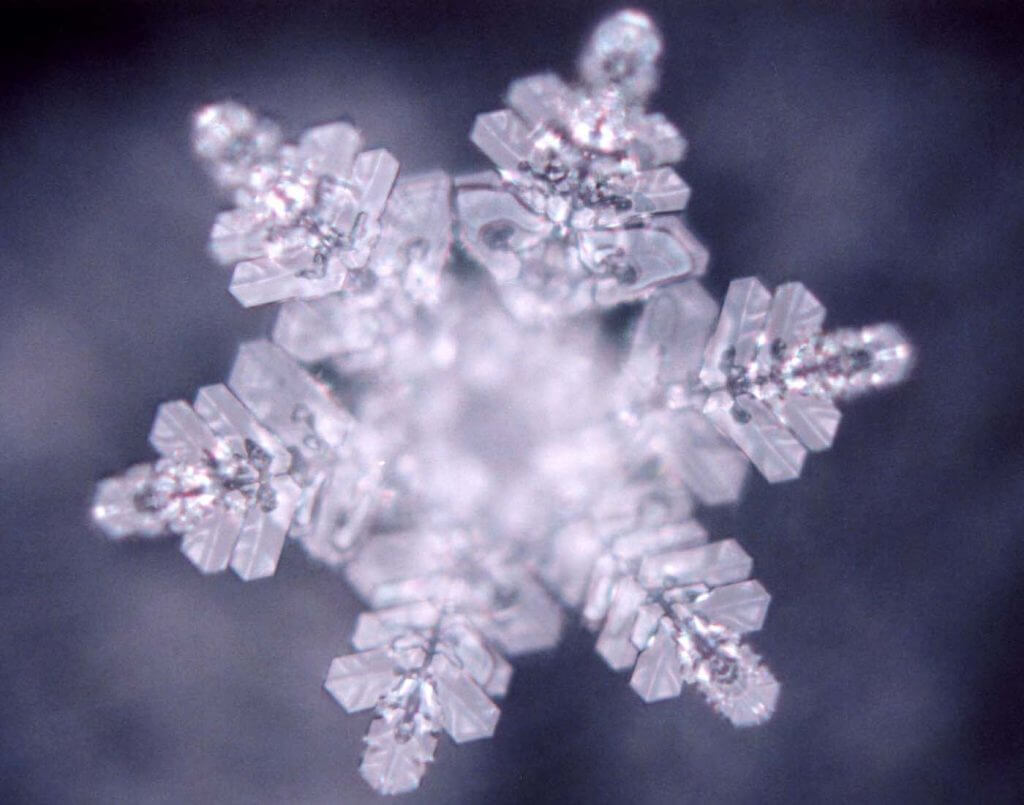 Il tessuto connettivo e le scoperte di Masaru Emoto Il tessuto connettivo e le scoperte di Masaru Emoto