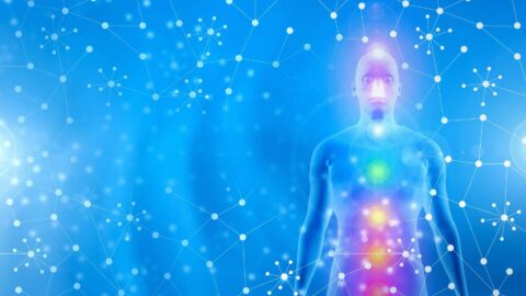 Il sistema connettivo e i campi elettromagnetici