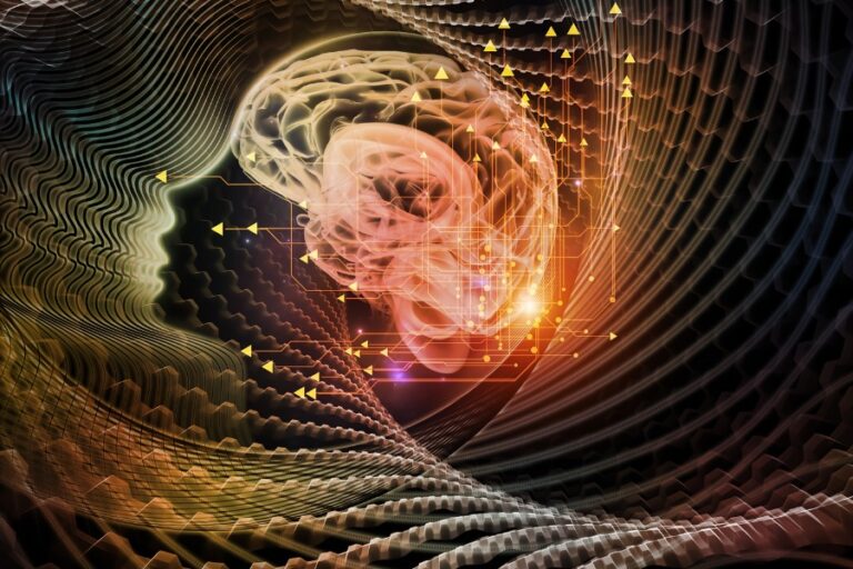 la realtà è il corpo la realtà è il corpo